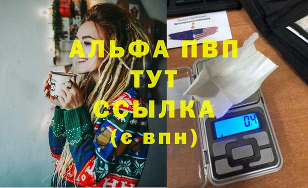 спайс Богданович