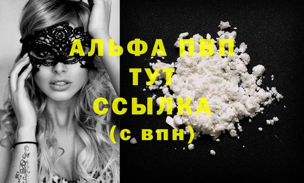 спайс Богданович