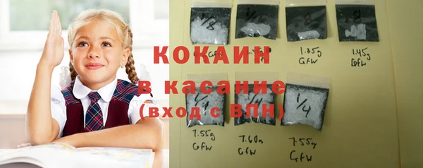 спайс Богданович