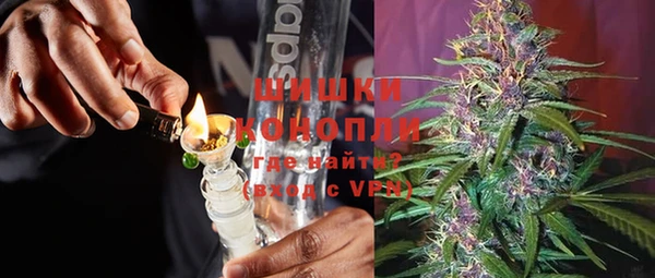 спайс Богданович
