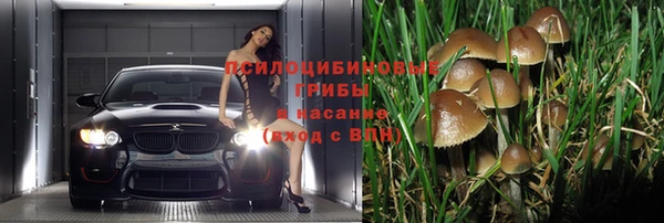 кокс Богородск