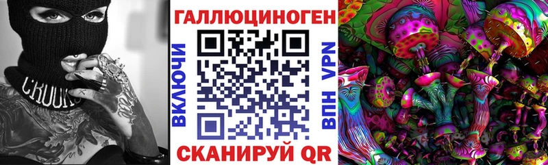 Галлюциногенные грибы Cubensis  Купить закладки  Арсеньев 